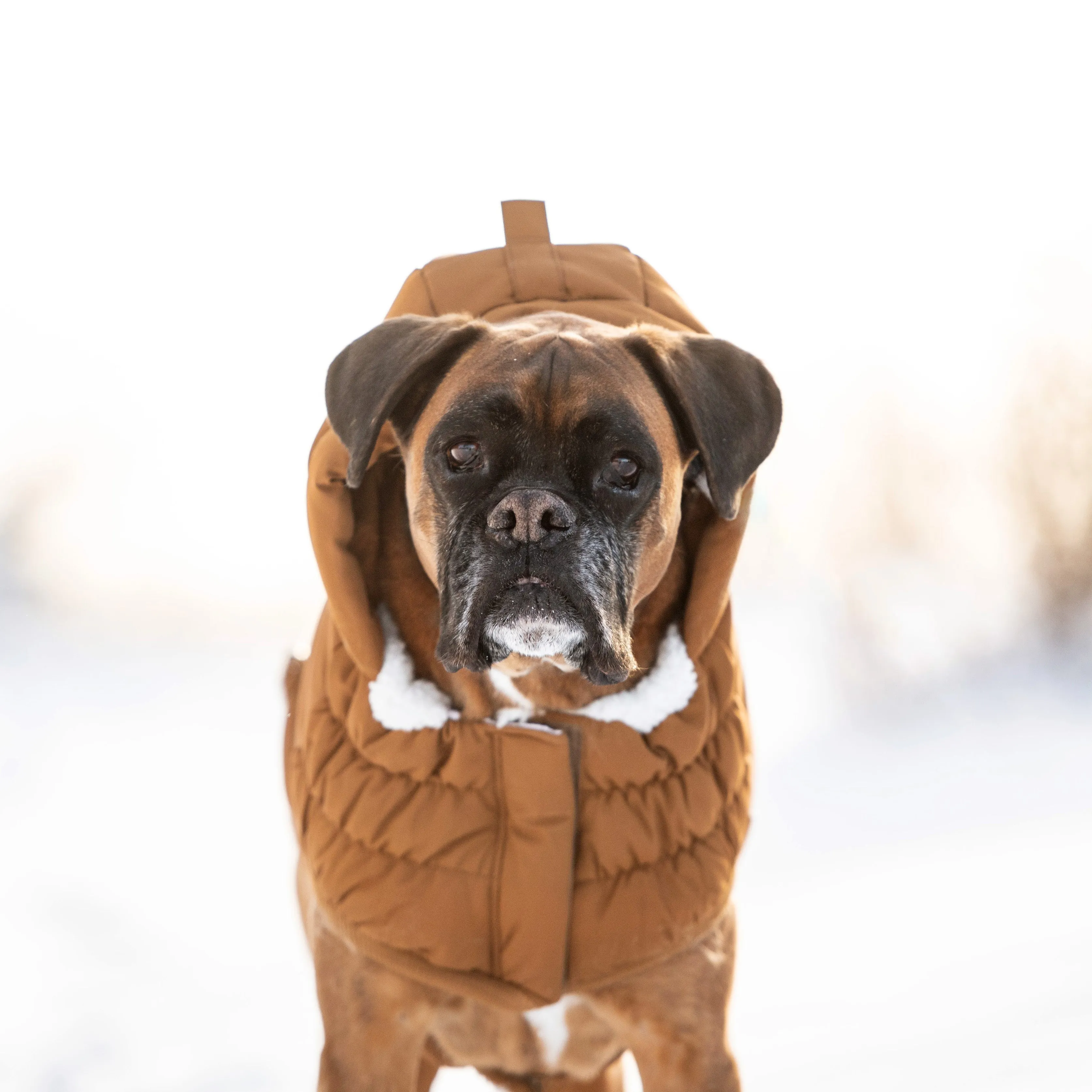 Arctic Parka Dog Winter Coat - Wood