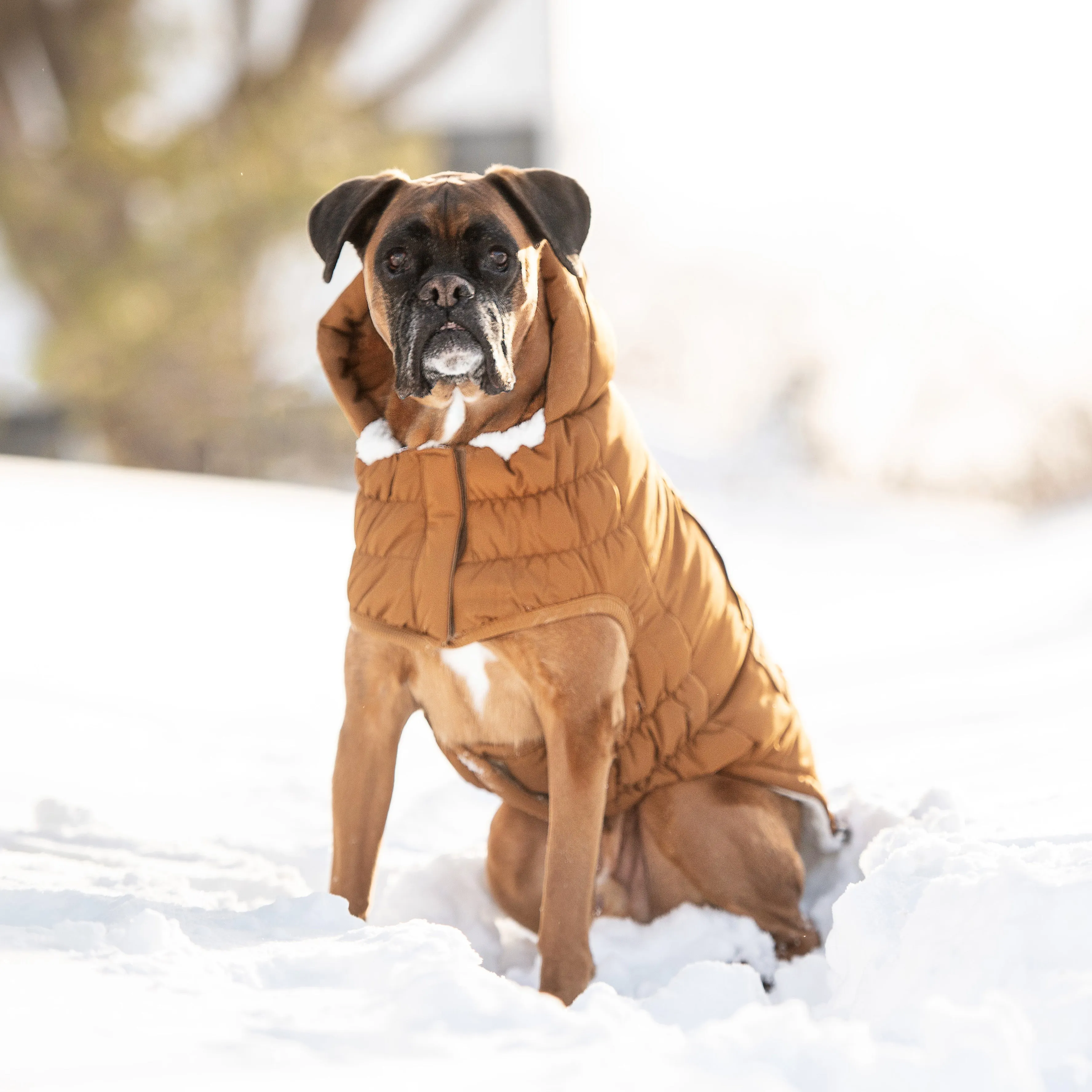 Arctic Parka Dog Winter Coat - Wood