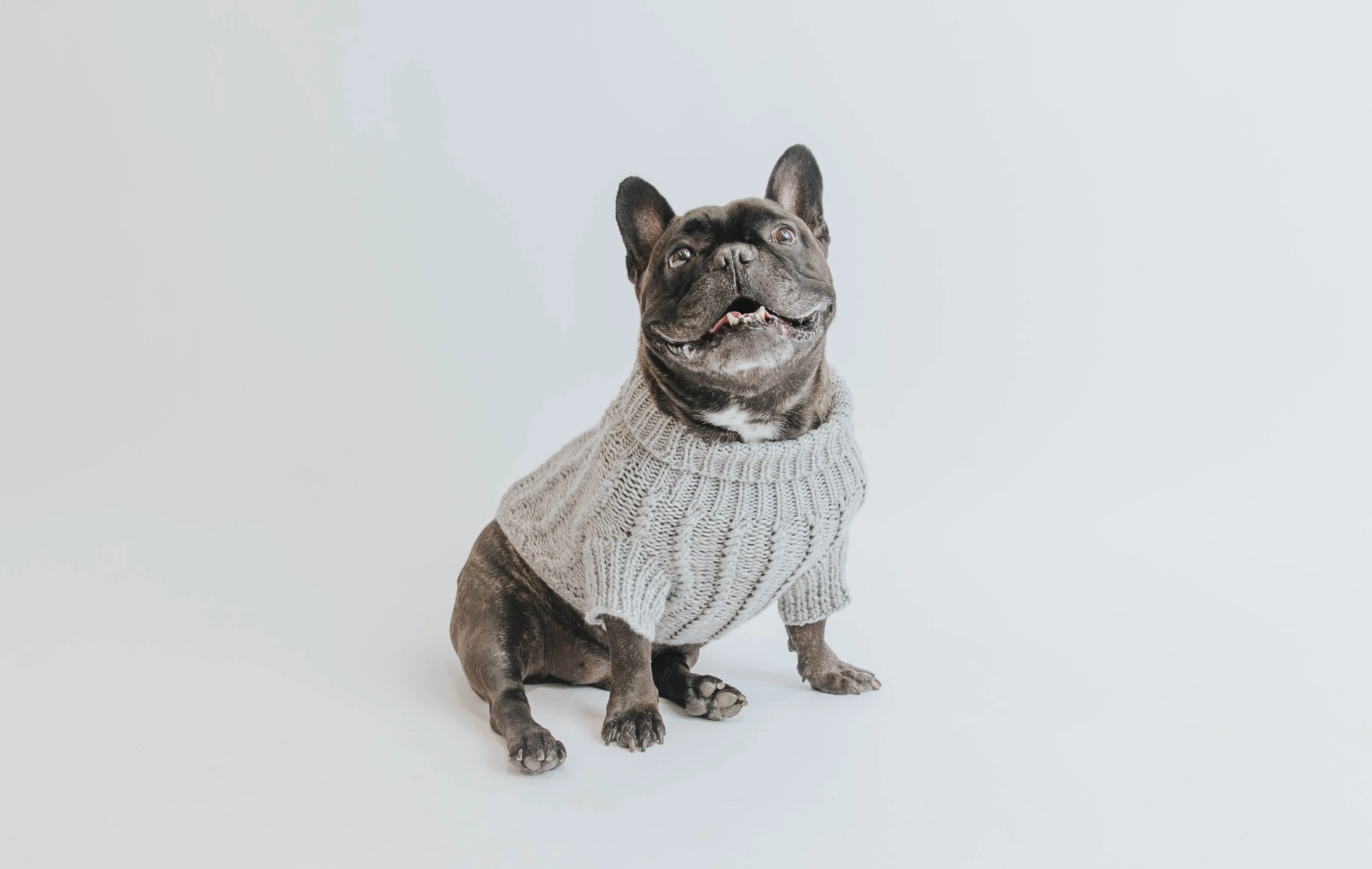 Dog Cable Knit Sweater - Gray