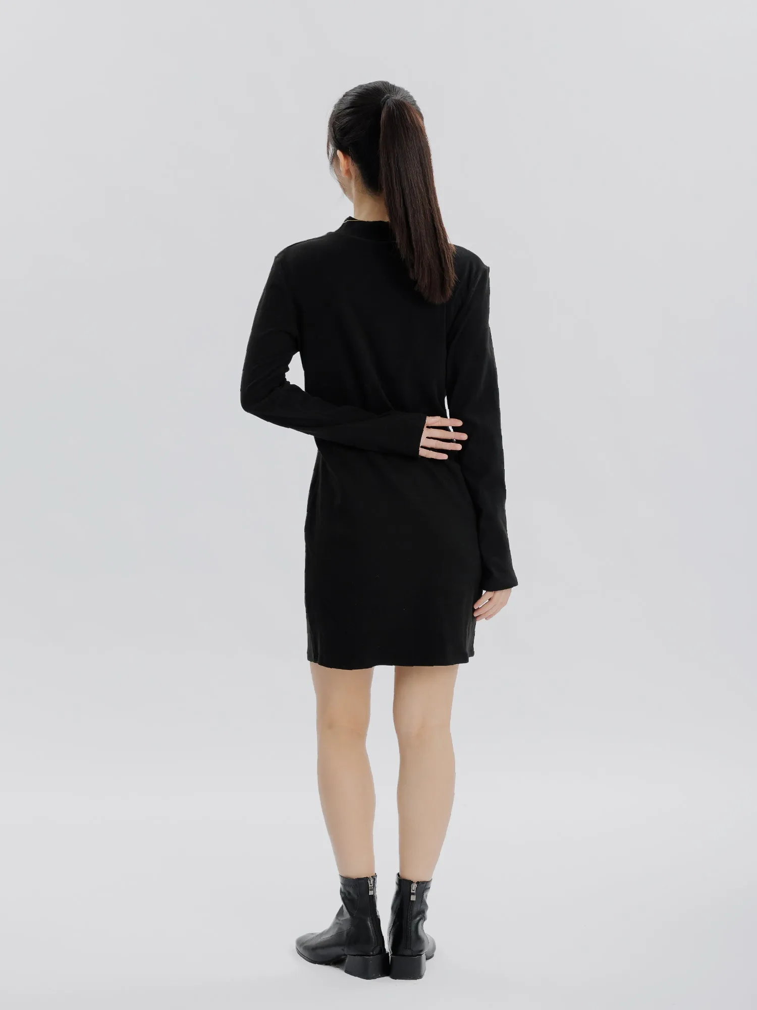 Reverie Long Sleeve Turtleneck Dress