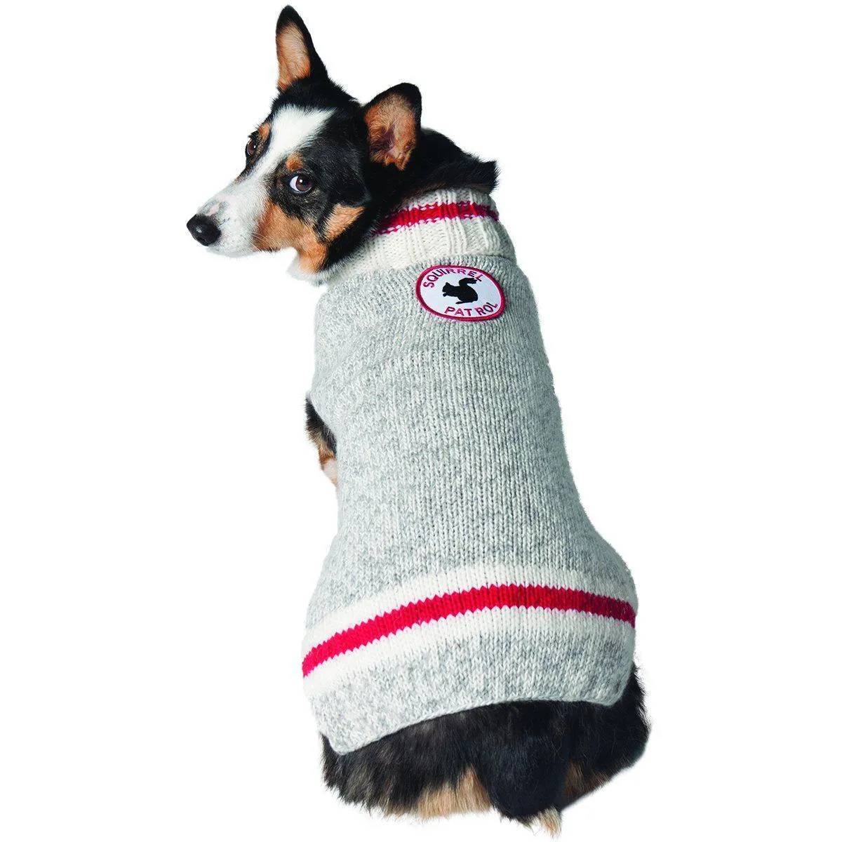 Squirrel Patrol Wool Dog Sweater